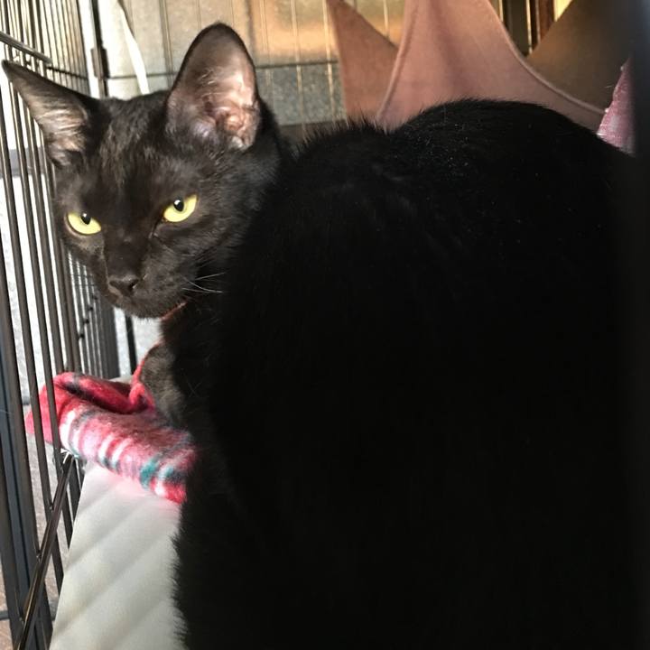 D3a1c8d2 3677 4f2c bd75 b914ba20997c