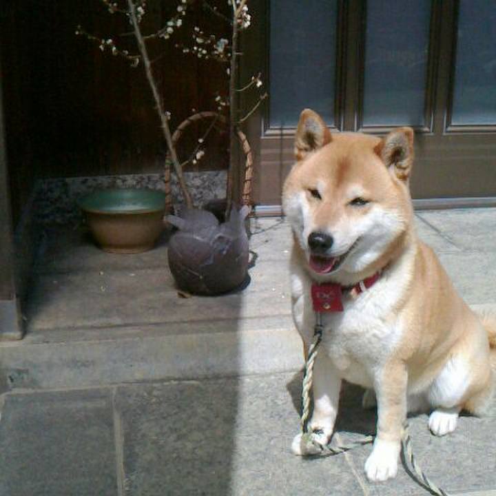 D3a1fd4b e0cc 4bfb 8f1e 9c03b62a9d25