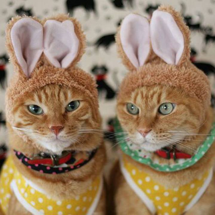 D3a22b4f 021e 4533 a320 fbb812396367