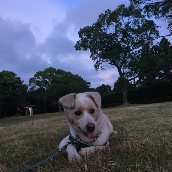 D3a282dc f293 4dd5 a0fa 1cf6270a15c3