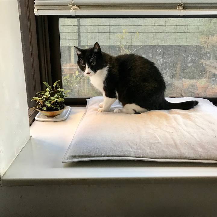 D3a3c29d 7886 46d2 8bbc a730e8d4d14d