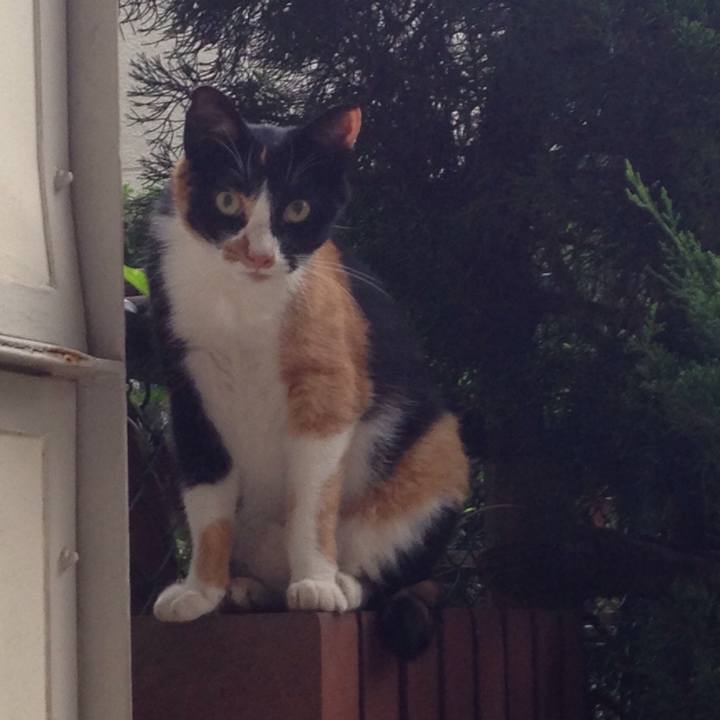 D3a3d322 27aa 49e4 9d8f 8f48853b1e9e