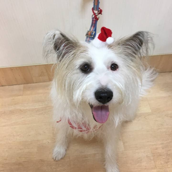 D3a45d92 b4f9 40b8 aadc f63e440c130d