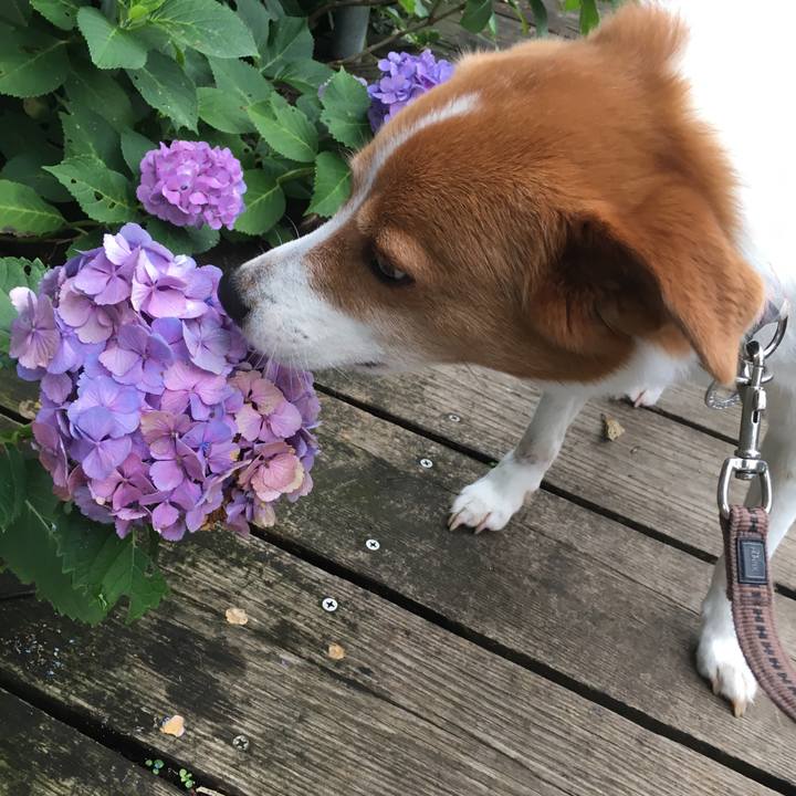 D3a53f05 4146 4a0b 9fe8 88d9e596c961