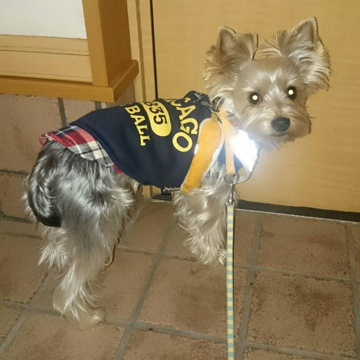 D3a585b0 9dfb 4dce b7e9 cf2fa03bdb61