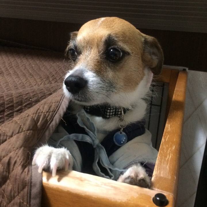 D3a5fb60 7edb 45a4 8ac2 de18928857d4