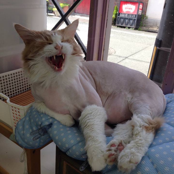 D3a698a3 1448 46e8 adfe 072e02c91841