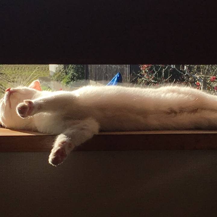 D3a772bd 041b 40d2 baf7 d1ee370c8fb3