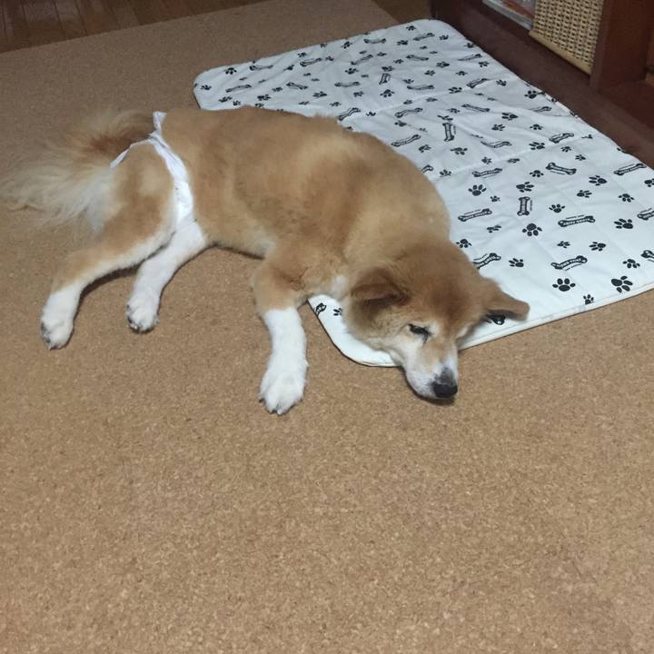 D3a7fcb3 d1dd 4f82 95a8 7cccad55dac6