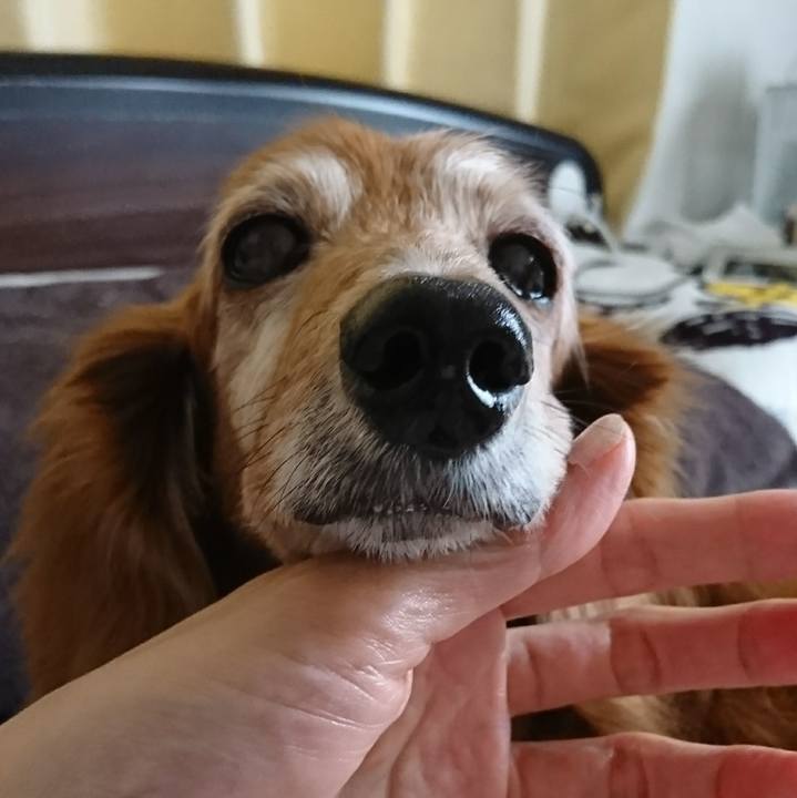 D3a899e6 7e05 4fb3 abdb f6d3f8f5f621