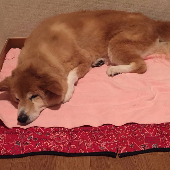 D3a93a0b a3bb 4502 9878 959c4d73f01a