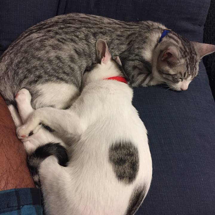 D3a98a60 e0b8 4738 a976 4784841adf9c