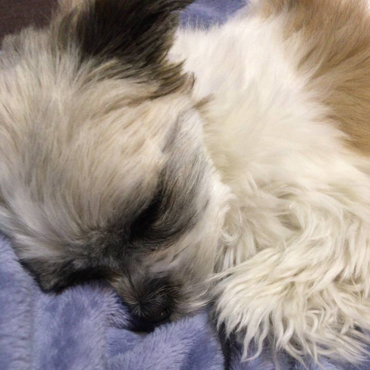 D3a9ea4b 55b3 4000 8bbe 70c8889c9487