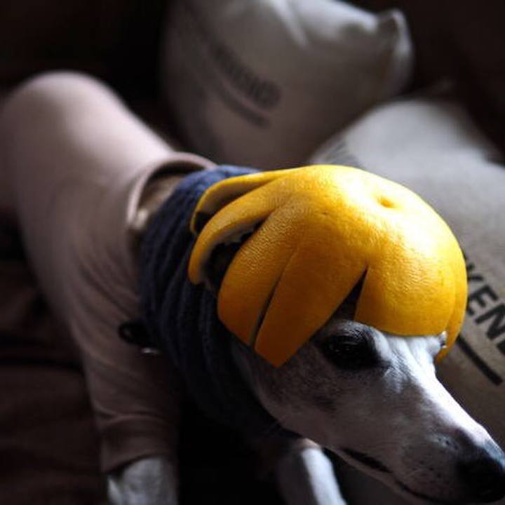 D3aa0f63 ed0e 4b28 89aa 56e49373af15