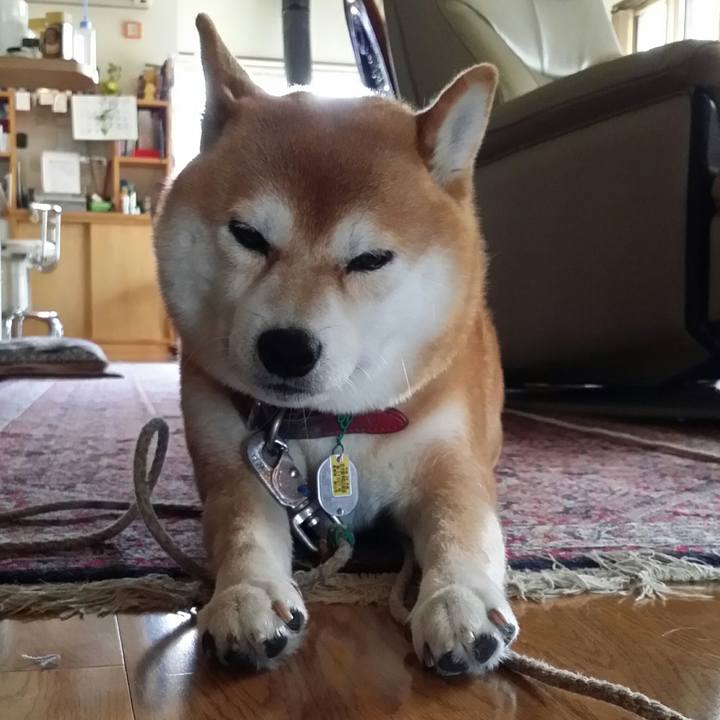 D3ab74f3 89ce 46c5 a578 420bcb62747b