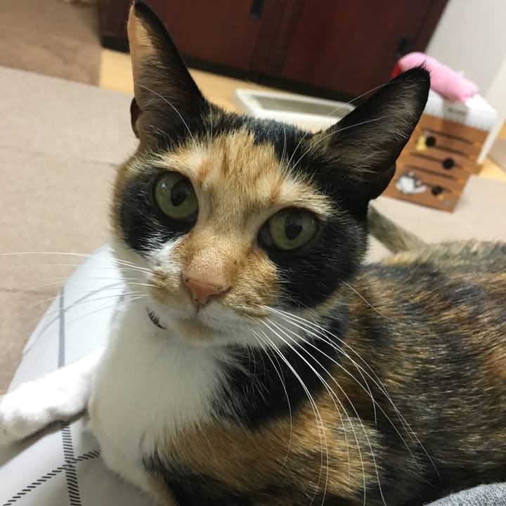 D3ac5537 4692 46f9 acb3 8b60caf1337c