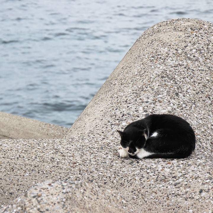 D3acce4e 74ff 4272 8aa5 a4170d7f09e4