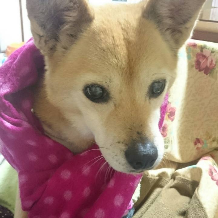 D3ad764d 89e4 4c44 bd73 19f835b62cfa