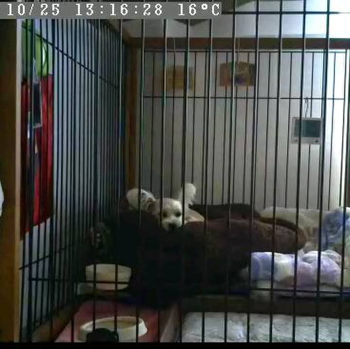 D3aece86 3188 48a7 baa3 d75ea48c5d9a