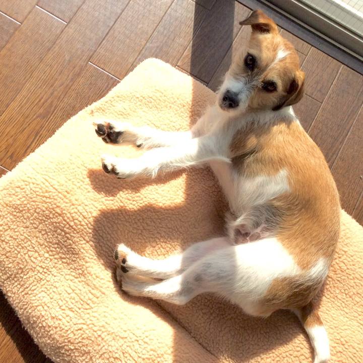 D3af276e e392 4390 bfac 6e78ec6d1283