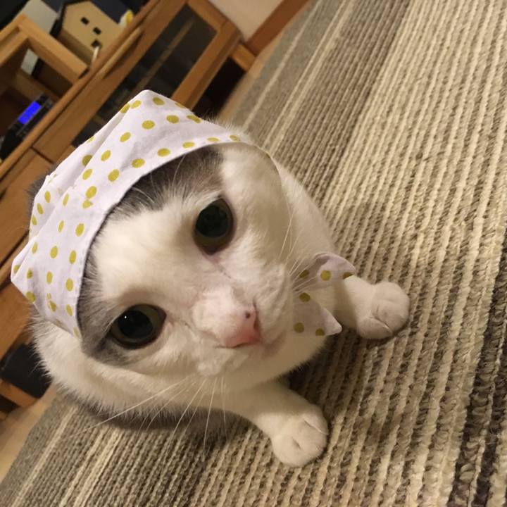 D3b0055c 614d 47da 8894 c1620efcd747