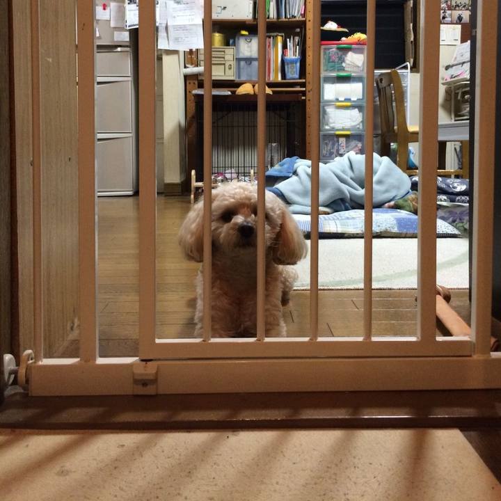 D3b08525 b5bc 4b13 9af4 d8f6a009fedd