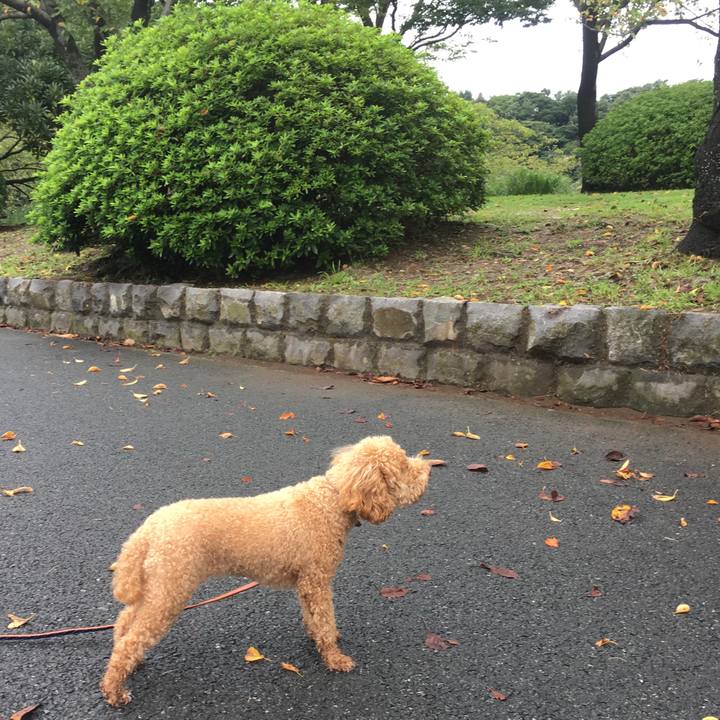 D3b0d8cf 8333 49df a00c 1a40b061751c