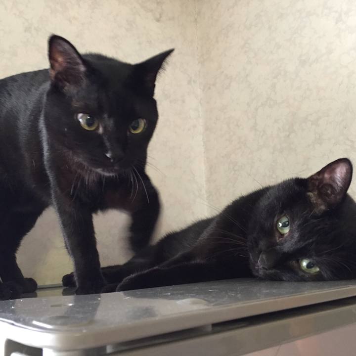 D3b0e561 4ac4 4db2 9315 ae6e2aeae6bb