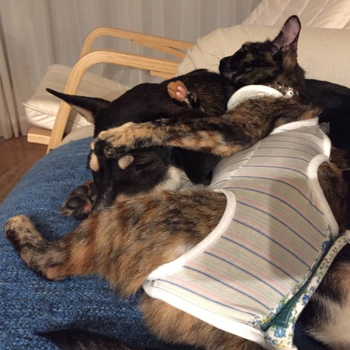 D3b1a589 d0e3 4465 b937 321aeee56da6