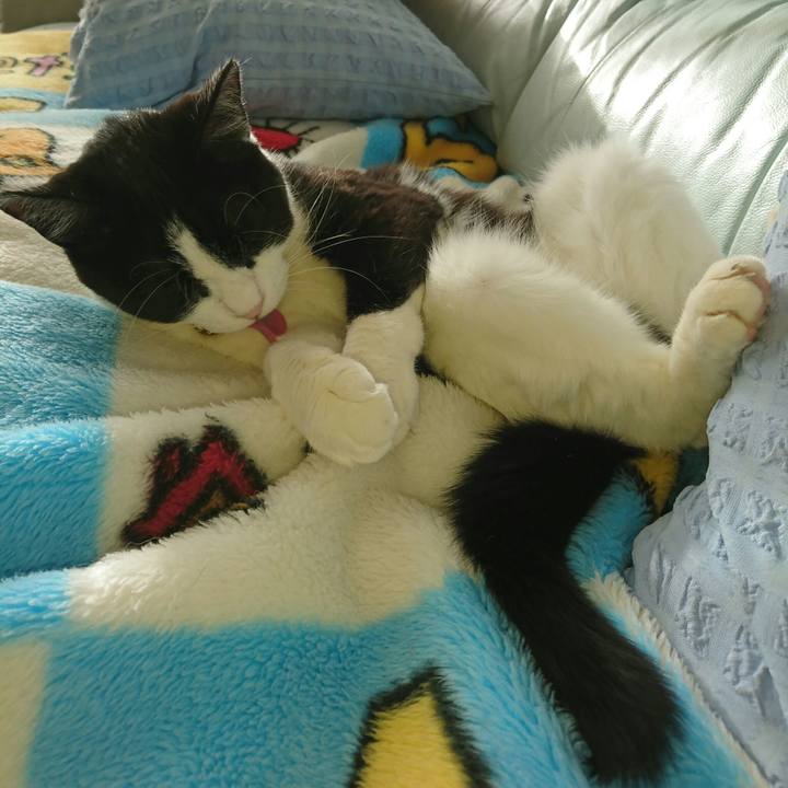 D3b1baa3 d3f5 4184 9db9 5cca85e846af