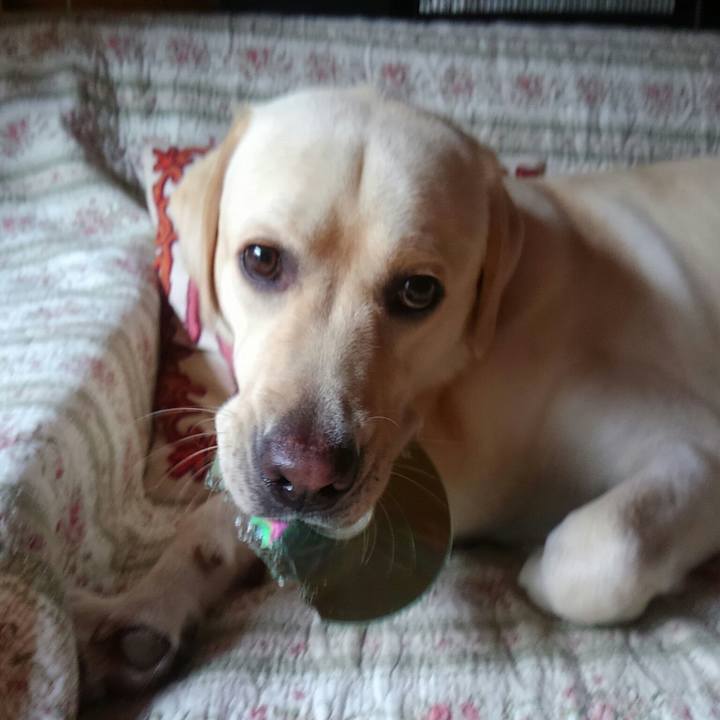 D3b21904 b364 4899 ae39 d5a1e5cf55a5