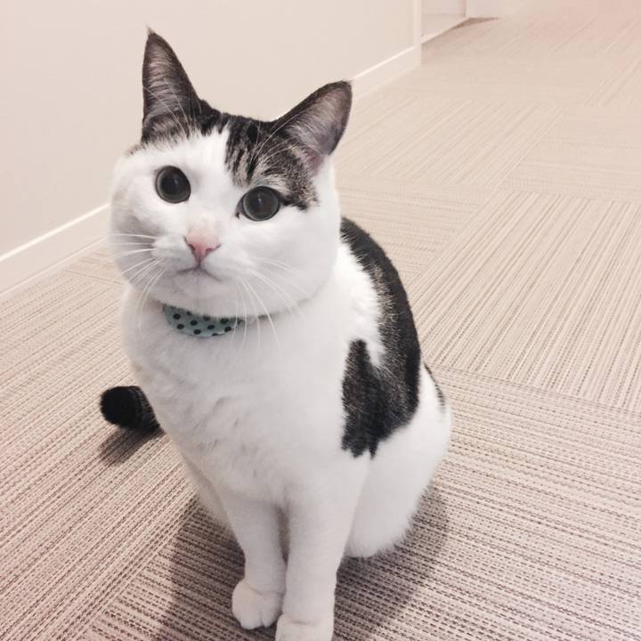 D3b2651a 79c0 4383 9700 def730908d57