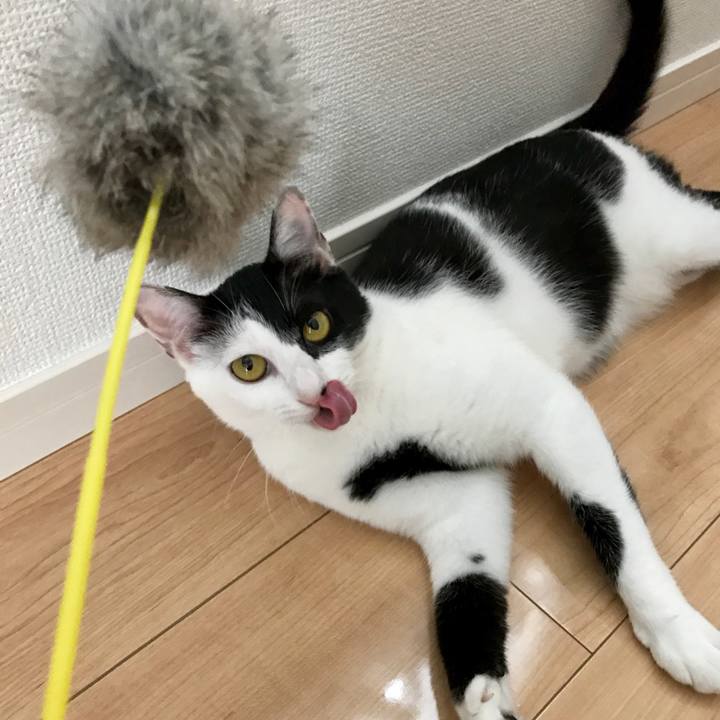 D3b2902e 76ea 480a 99d1 ae74dfa6eed6