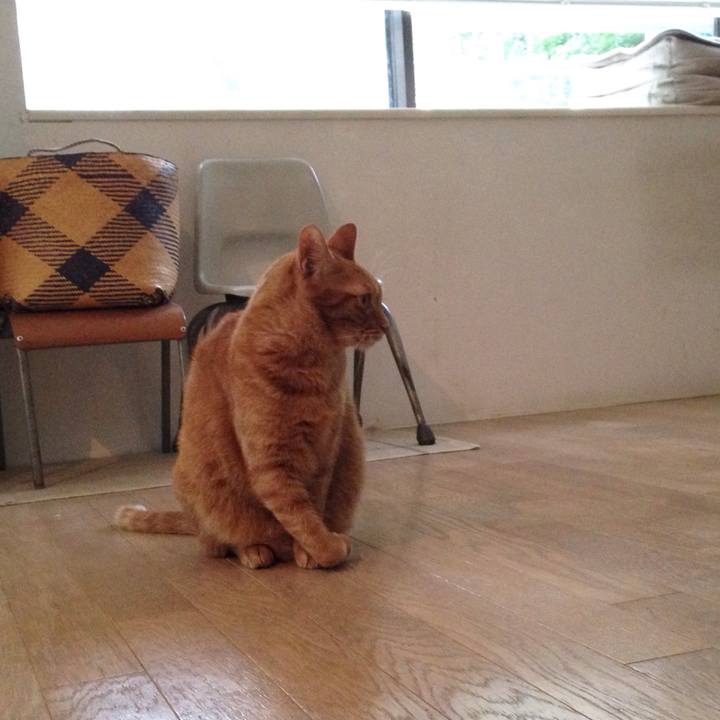 D3b2910c 47e7 4e9f 8fee 808192068d6a