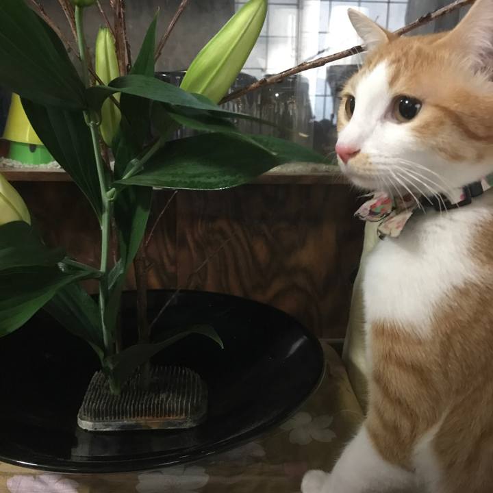 D3b318fa b1f7 4621 8614 e8296c045041