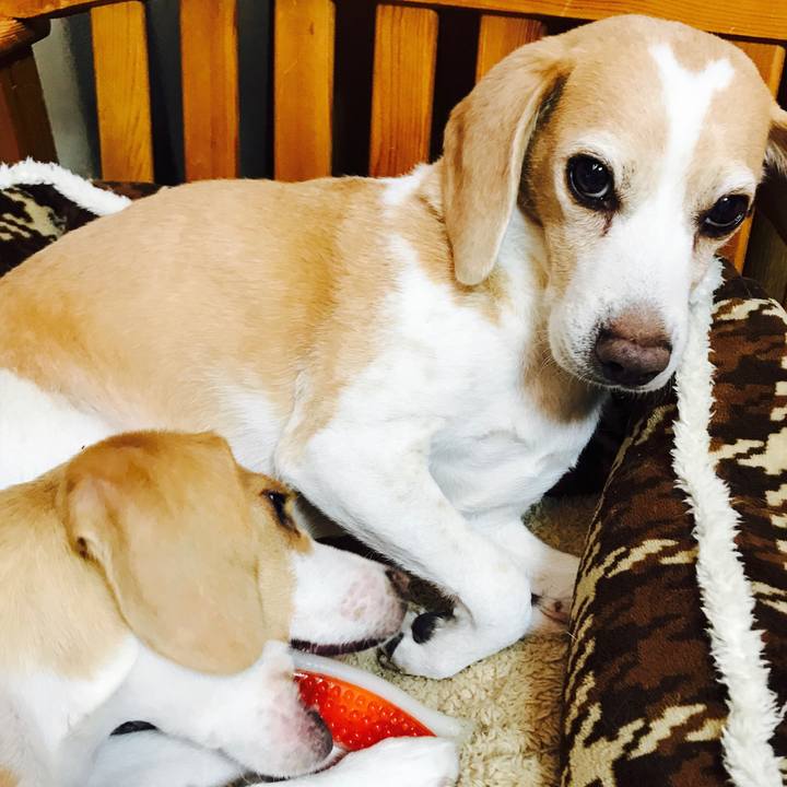 D3b35efa f7d5 4457 8635 a23d54828ad6