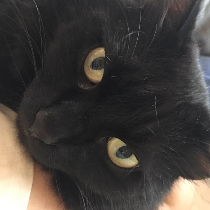 D3b3a803 7d3b 41b6 92b9 dbd22d45acd0