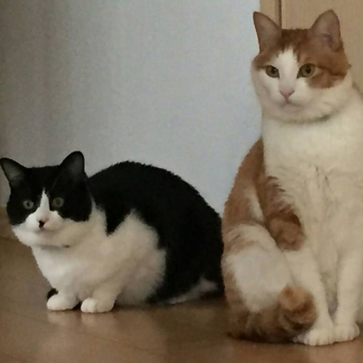 D3b3ec77 12e0 481f b54e fe20aeaa5ea3