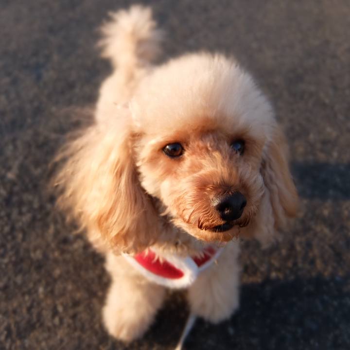 D3b4223c 4c86 43fb 977e 844144a2dc34