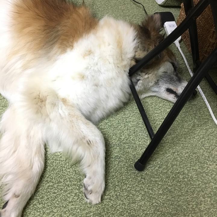 D3b4587f 6cd7 4d9f a5f7 33c9dde951e1