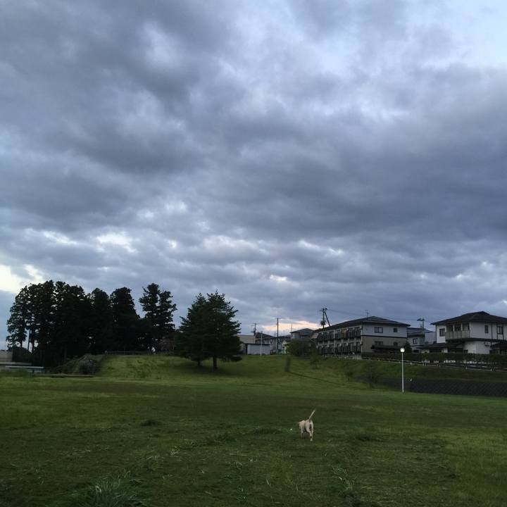 D3b4822a 627f 46d0 aef1 c1fce208139e