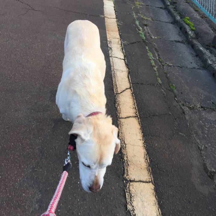 D3b5b774 c5d2 4f69 b4b7 b8301c6f5540