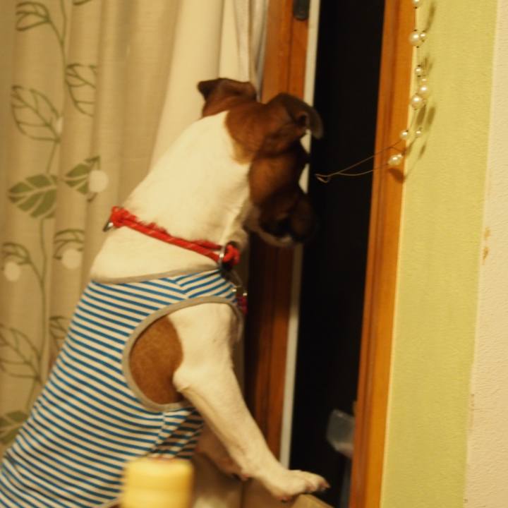 D3b5ca86 d14d 433e 9794 bdf988af68b7