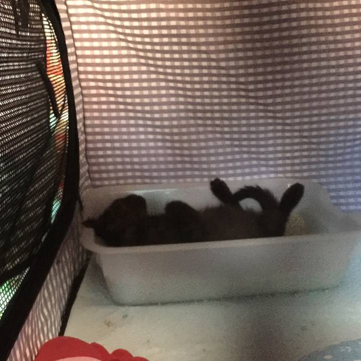 D3b6c9dd f105 407b 8cbd 409b66b31f27