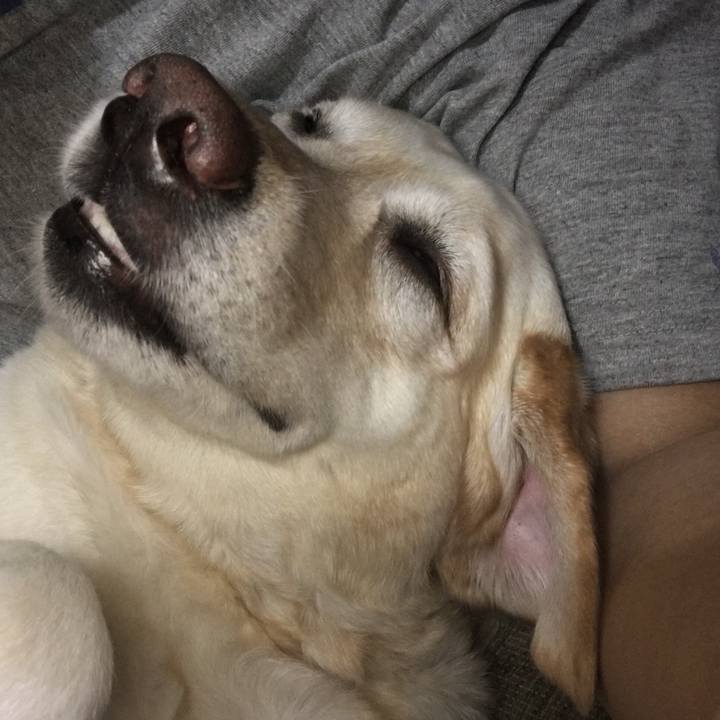 D3b6e0a6 8008 4065 8df9 48ff6b291c9c