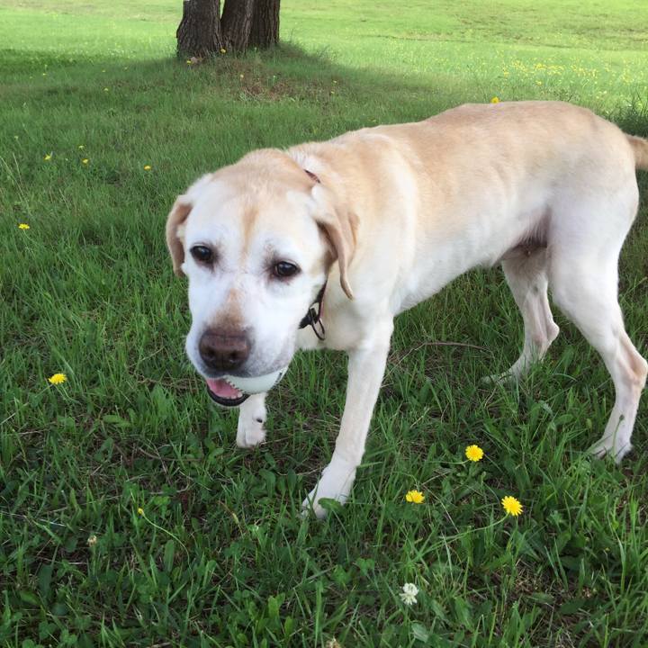 D3b74f87 21dc 41f8 8078 e986fff774cf