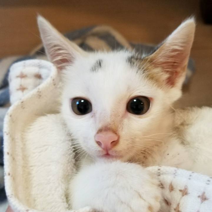 D3b7da15 ea11 47e2 aa4f 54a55ebd84aa