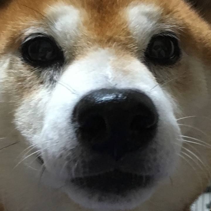 D3b80b71 67e3 45f0 9ea2 fac9e46bda23