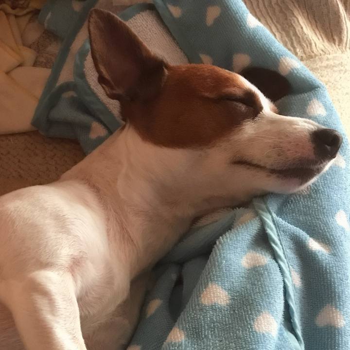 D3b813e5 e634 4cdf a8fc d3f3f5fc9fbd