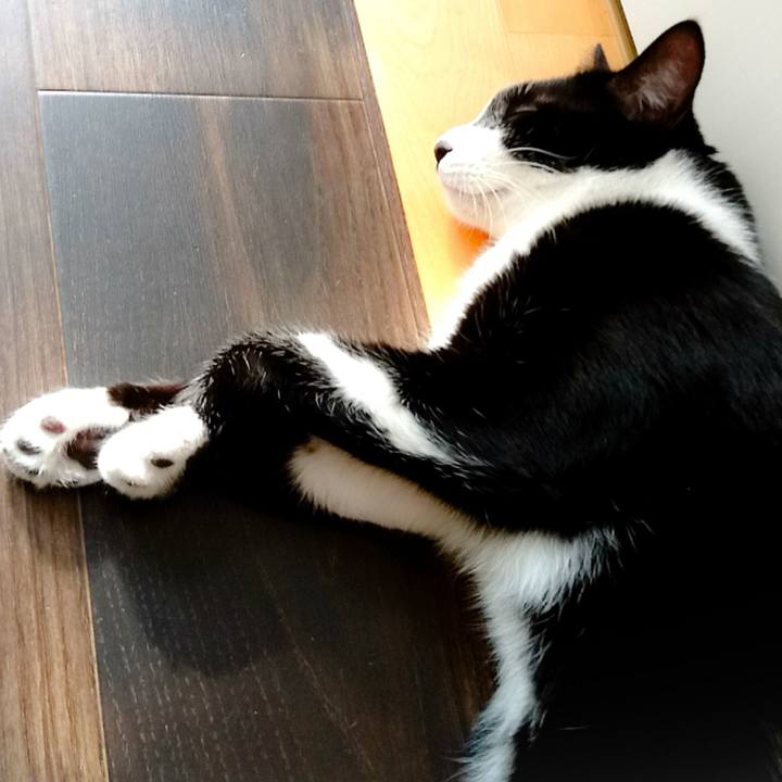 D3b9be18 f0cf 449b adef cbe81881f693